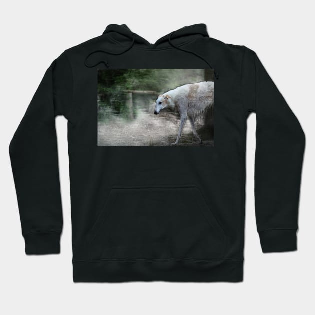 greyhound, whippet - 02 Hoodie by hottehue